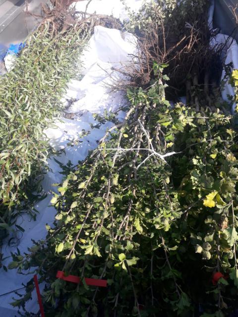IMG-20191022-WA0003