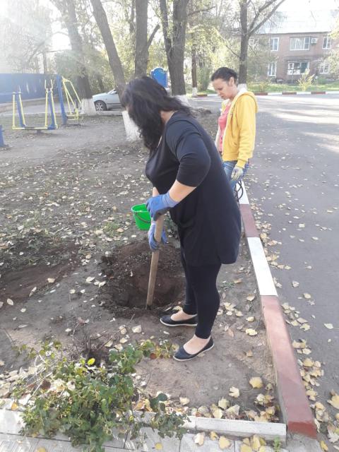 IMG-20191022-WA0006