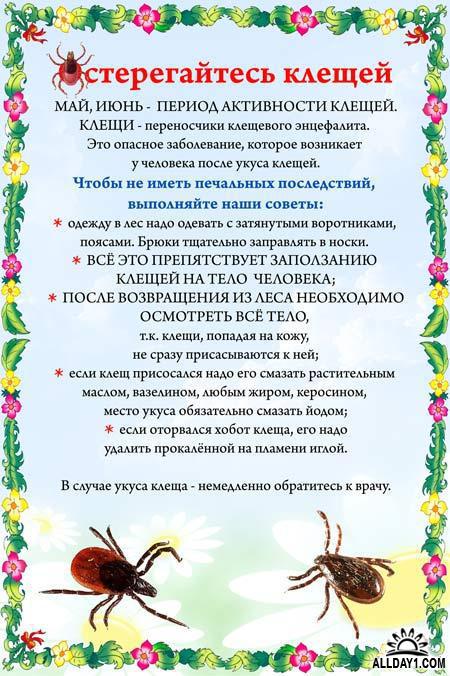 foto-13-05-2020-15-00
