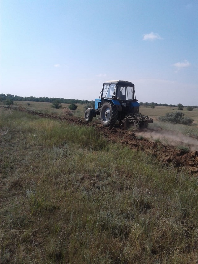 foto-30-06-2020-16-27 4