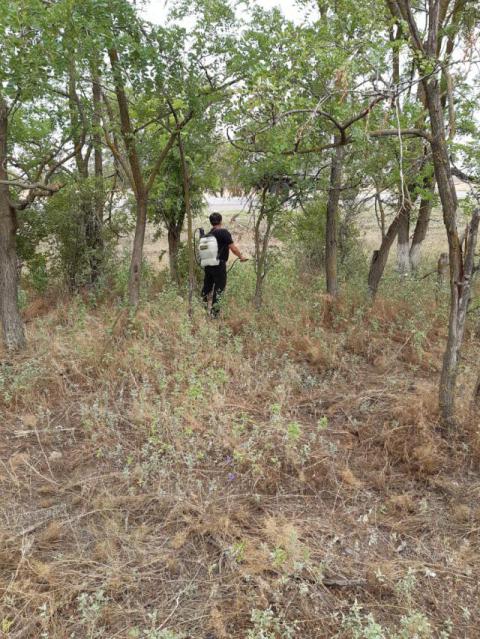 IMG-20190716-WA0010