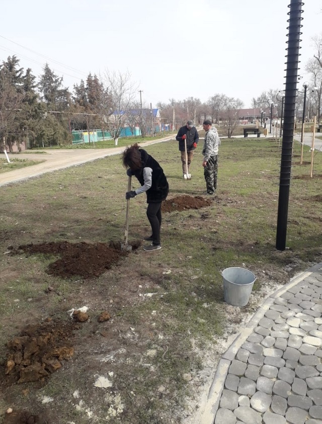 foto-07-04-2020-15-31 6