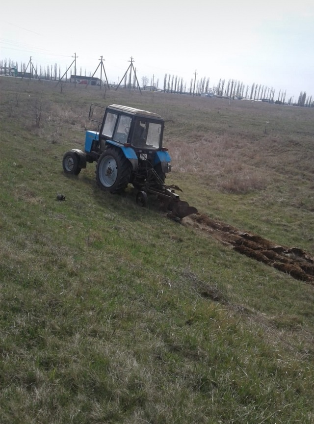 foto-07-04-2020-15-45 3