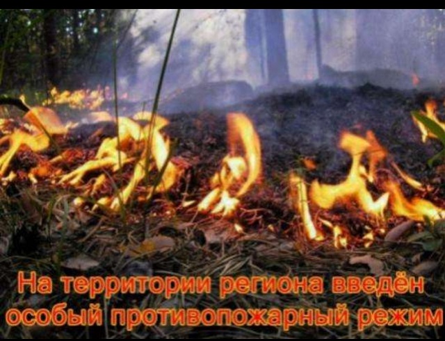 foto-08-04-2020-11-52