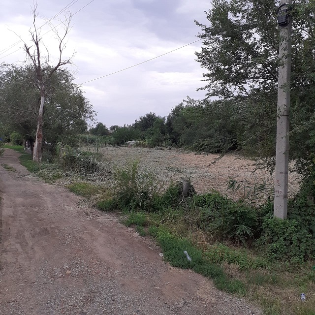 foto 04 08 2022 14 09 1