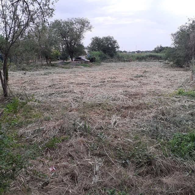 foto 04 08 2022 14 09 2