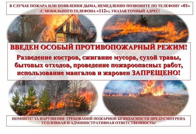 image 2023 05 03 1 1