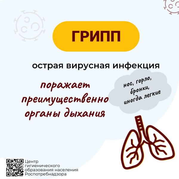 foto 2023 11 27 16 49 2