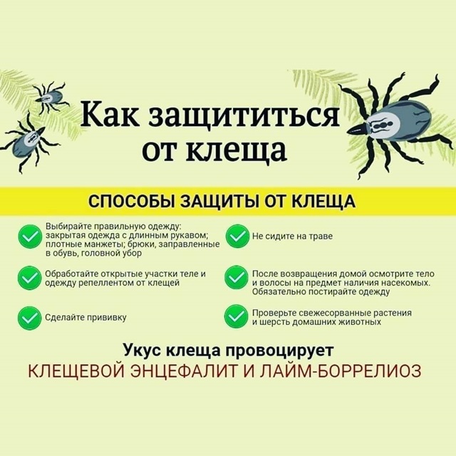 foto 2024 03 05 17 24
