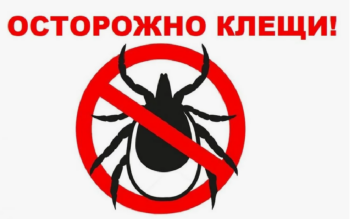 Осторожно клещи!